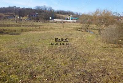 Teren de 3384 mp, în Sud - 6