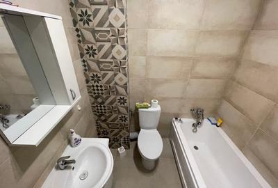 Apartament cu 2 camere decomandat, mobilat în Roșu - 13