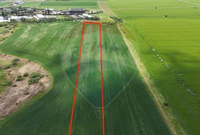 Teren de vanzare Chitila / loturi de casa/ Investitie / intravilan - 2