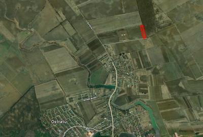 REL4000892 Corbeana - Ostratu 15200 mp langa padure - 8