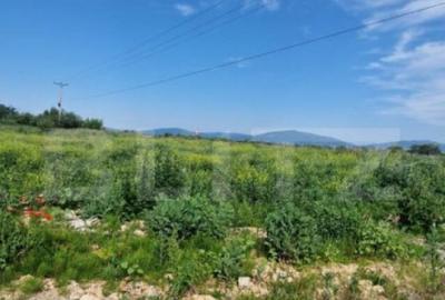 Teren extravilan, 1203 mp pretabil pentru investitie ,casa p Teren extravilan, 1203 mp pretabil pentru investitie ,casa p - 3