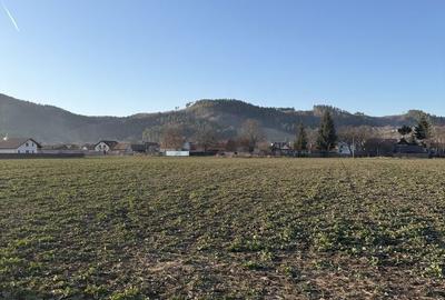 Teren de 1150 mp, în Central - 4