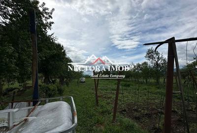 Casă cu 5 camere cu Teren 2300 Mp în Pocola