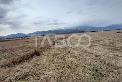 Teren intravilan 15.000 mp Front 47 m DN7 in Talmaciu zona industriala - 3