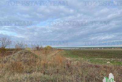 Teren de in Otopeni 6900 mp Teren de in Otopeni 6900 mp - 2