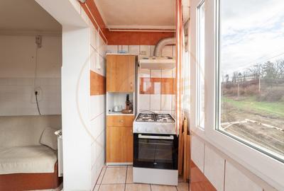 Apartament cu 2 camere decomandat, mobilat în Mioveni - 10