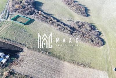 Teren agricol extravilan de 651 mp, în Rusciori - 9
