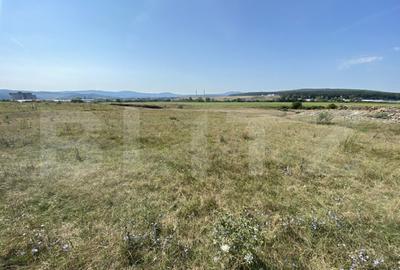 Teren extravilan Criseni, 3800 mp - 1