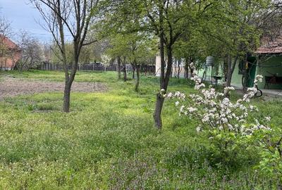 Casă individuală cu 4 camere cu Teren 1511 Mp în Adâncata - 8