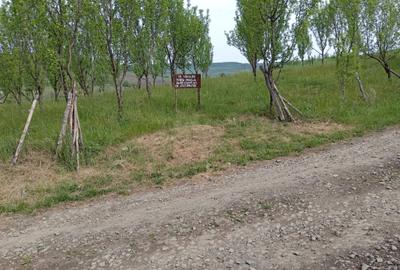 Teren de 3600 mp, în Central - 3