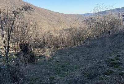 Teren de 1780 mp, în Valea Doftanei - 4