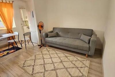 Garsoniera, decomandat, 29, centrala proprie, pat dublu, Tineretului 35Bis - 2