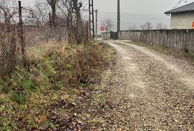 Teren Construcții intravilan de 2700 mp, în Oneaga - 6