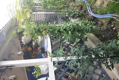 Casă cu 5 camere în Sânnicolau Mare - 1