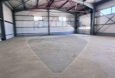 Hale noi de inchiriat Domnesti - putere instalata pana la 600kva - 3
