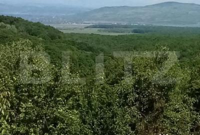 Teren de 1700 mp, în Seciu - 3