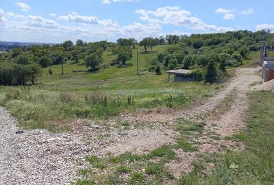 Teren Construcții intravilan de 849 mp, în Paleu - 3