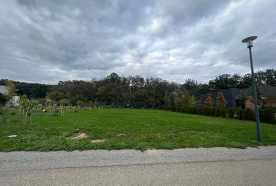 Lot de 923 mp in Dumbrava Vlasiei - latura comuna cu padurea