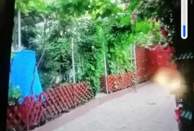 Vand sau schimb CASA Radu Negru Braila - 4