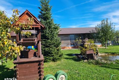 Spațiu comercial, de 15,000 mp, în Pietroșani - 13