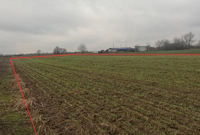 Teren extravilan de vânzare -  Giroc, jud. Timiș (în spatele complexului Flonta) - 5