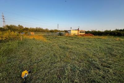 Proprietar vând teren intravilan 680 m în spate la Hornbach, Calea Buziașului - 3