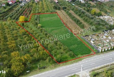 Teren de 2619 mp, în Corbeni - 1