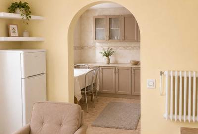 Apartament cu 2 camere semidecomandat în Ultracentral - 7