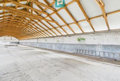 Spațiu industrial, de 765 mp, în Variaș - 13