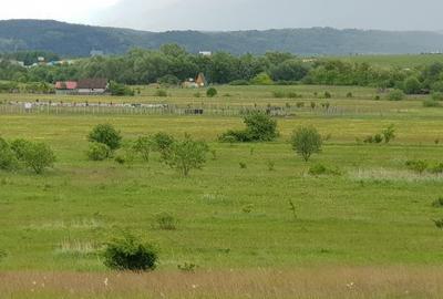 Vand teren arabil 1000 mp.,  Selimbar in zona Troita pe str. Aleea Monumentului Vand teren arabil 1000 mp.,  Selimbar in zona Troita pe str. Aleea Monumentului - 7