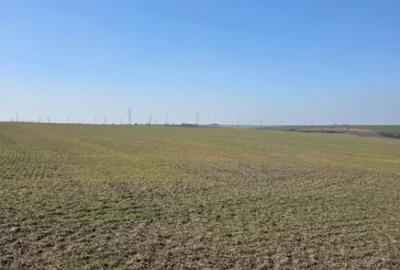 Teren de 4750 mp, în Nord - 3