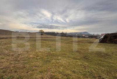 Teren Intravilan 2800 mp, zona Sieu Sfantu - 2