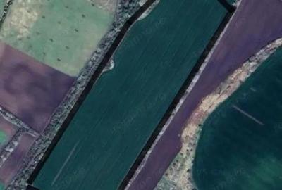 Teren de 104000 mp, în Pișchia - 1