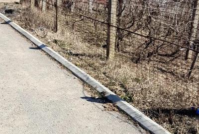 Teren de 2000 mp, în Nord - 4