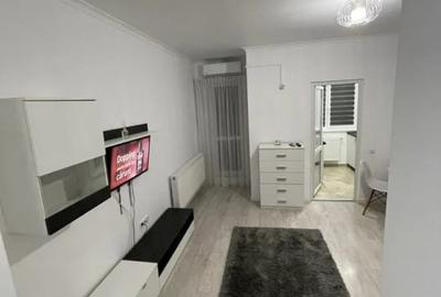 Inchiriere garsoniera Avangarde City // str. Tineretului 17// Militari Residence - 2