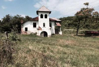 Teren de 53000 mp, în Călinești - 11