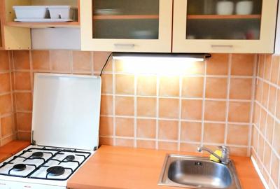 Garsoniera lipovei 250 euro, centrala proprie - 3