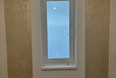 Casă cu 3 camere în Diniaș - 3