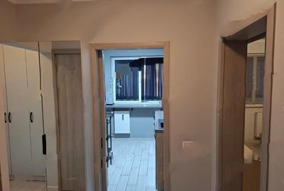 Dristor,Park Lake,DECOMANDAT,Amenajat,mobilat utilat complet,LIBER Dristor,Park Lake,DECOMANDAT,Amenajat,mobilat utilat complet,LIBER - 2