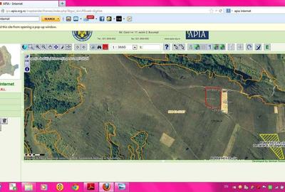 Teren de 23000 mp, în Vad - 5