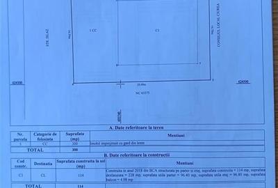 Casă individuală cu 8 camere cu Canalizare în Lunca Cetățuii - 20