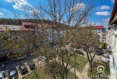 Apartament cu 2 camere decomandat în Frumoasa - 2