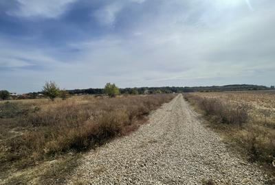 Domne?ti, Teghes, teren de 1000mp langa padure, utilitati. - 3