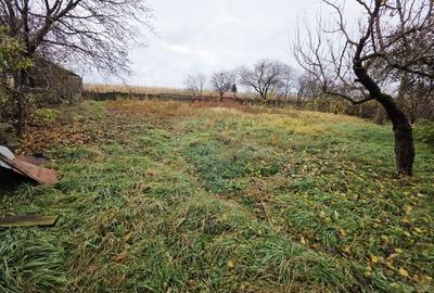 Casă individuală cu 4 camere cu Teren 1677 Mp în Slobozia (Roznov) - 29