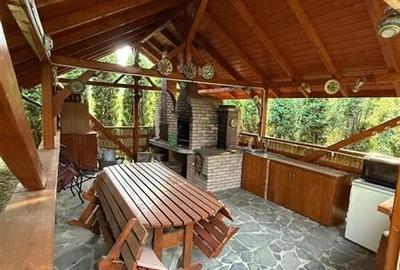 Cabana - Casa de vacanta situata in Muntele Rece! - 16