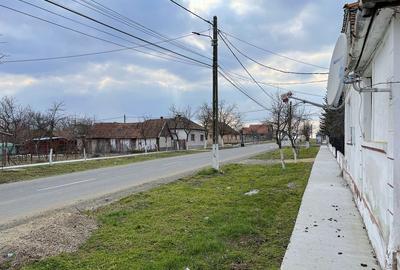 Casa individuala P1M 200mp utili, 1751mp teren, Ianova! - 8