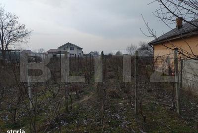 Spațiu comercial, în Malu Mare - 1