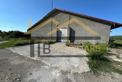 Spatiu industrial de inchiriat/vanzare/ 2052mp/ Zona Ernei - 3