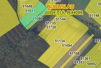 Spațiu comercial, în Buduslău - 2