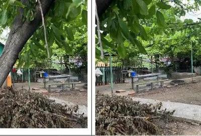 Casa si teren Mogosesti, cota parte 3/4, ID: R2669471 - 9